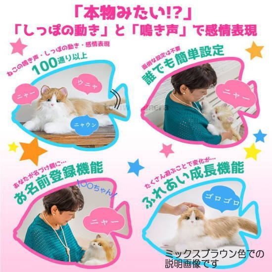 しっぽふりふり あまえんぼうねこちゃん