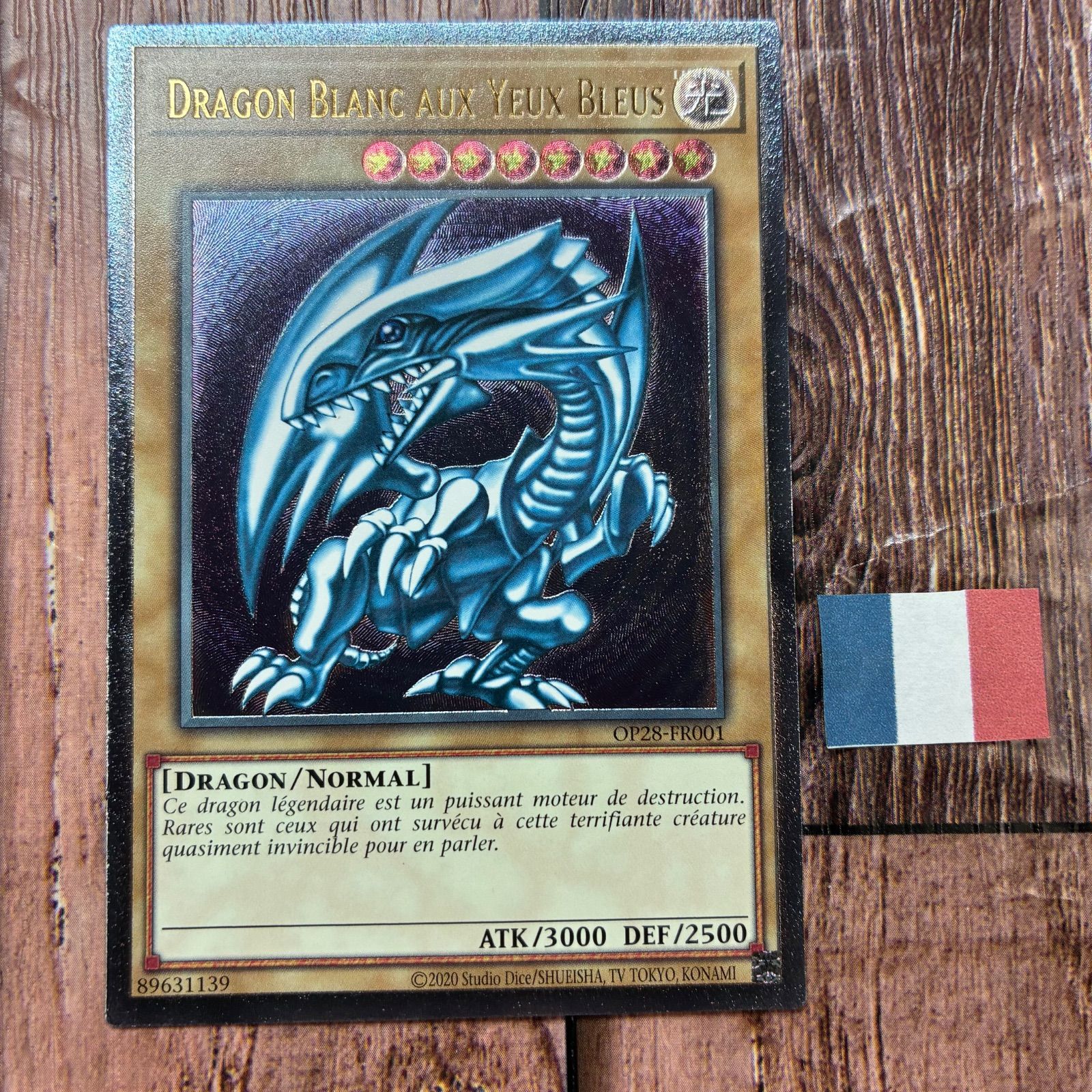 遊戯王 青眼の白龍 フランス版 EU版 青眼の白龍 OTS28 レリーフ