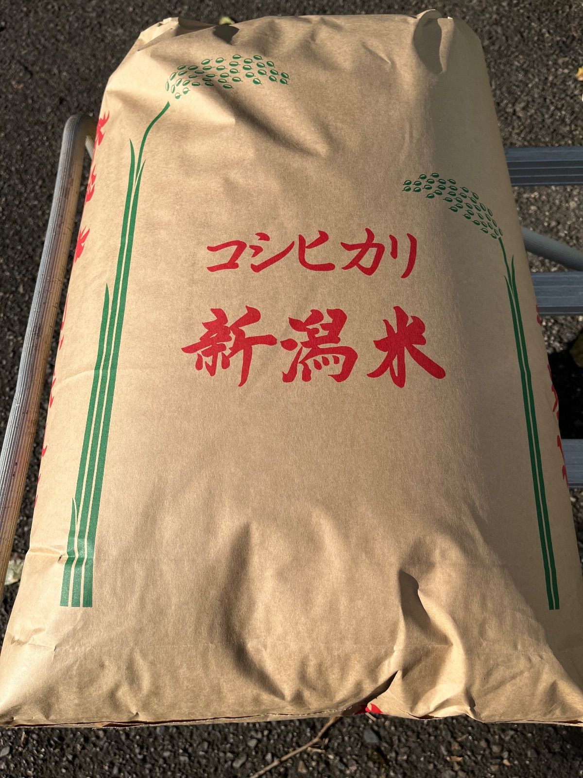 令和7年 新潟県県産コシヒカリ玄米20kg 武者米