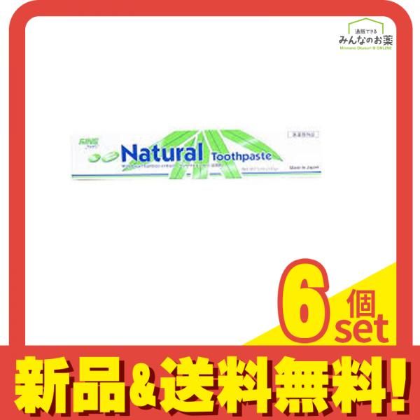 エパック:21 ニューナチュラルハミガキ 140g 6個セット まとめ売り