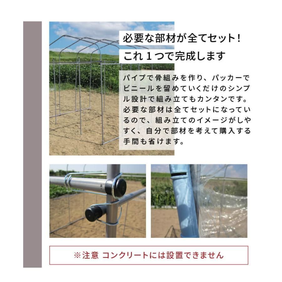 ダイムハウス ドア付