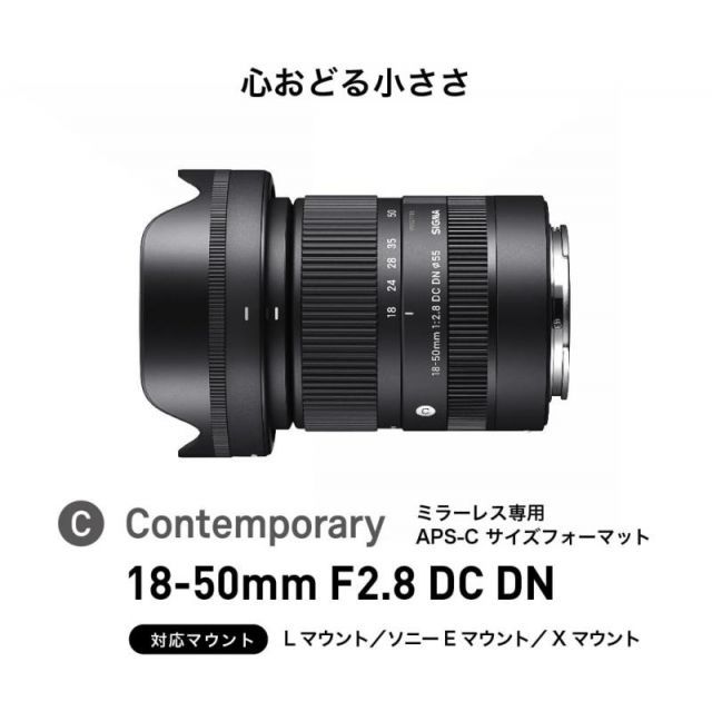 SIGMA 18-50mm F2.8 DC DN SONY Eマウント用 特別