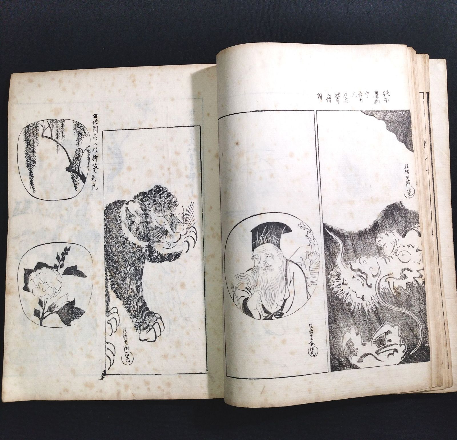 中国古美術 明代 呂紀 手描き掛軸 鳥と木の絵画 絹本 三尺