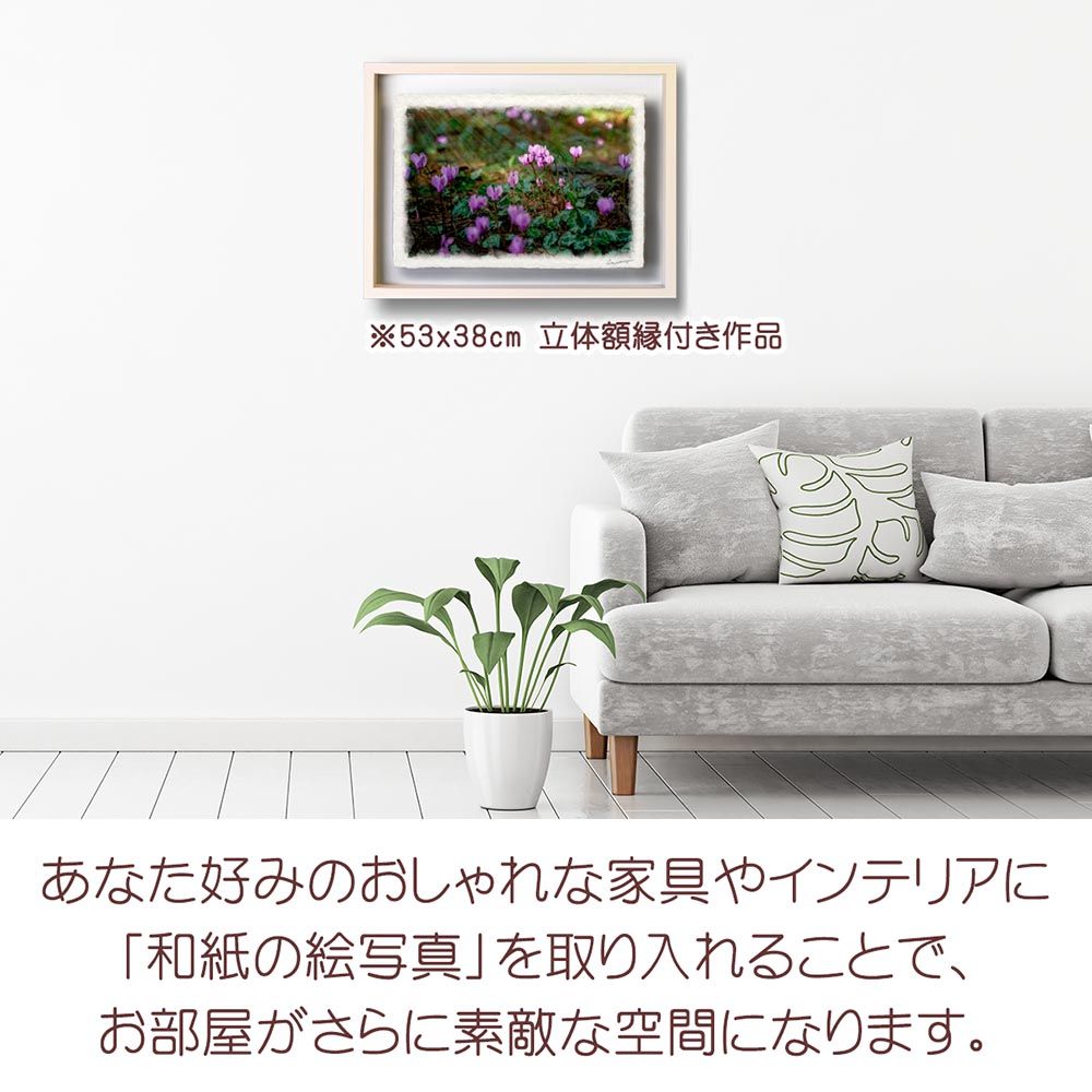 和紙の絵写真 「霜に輝くピンクのシクラメン」 立体額縁付き 38x27cm