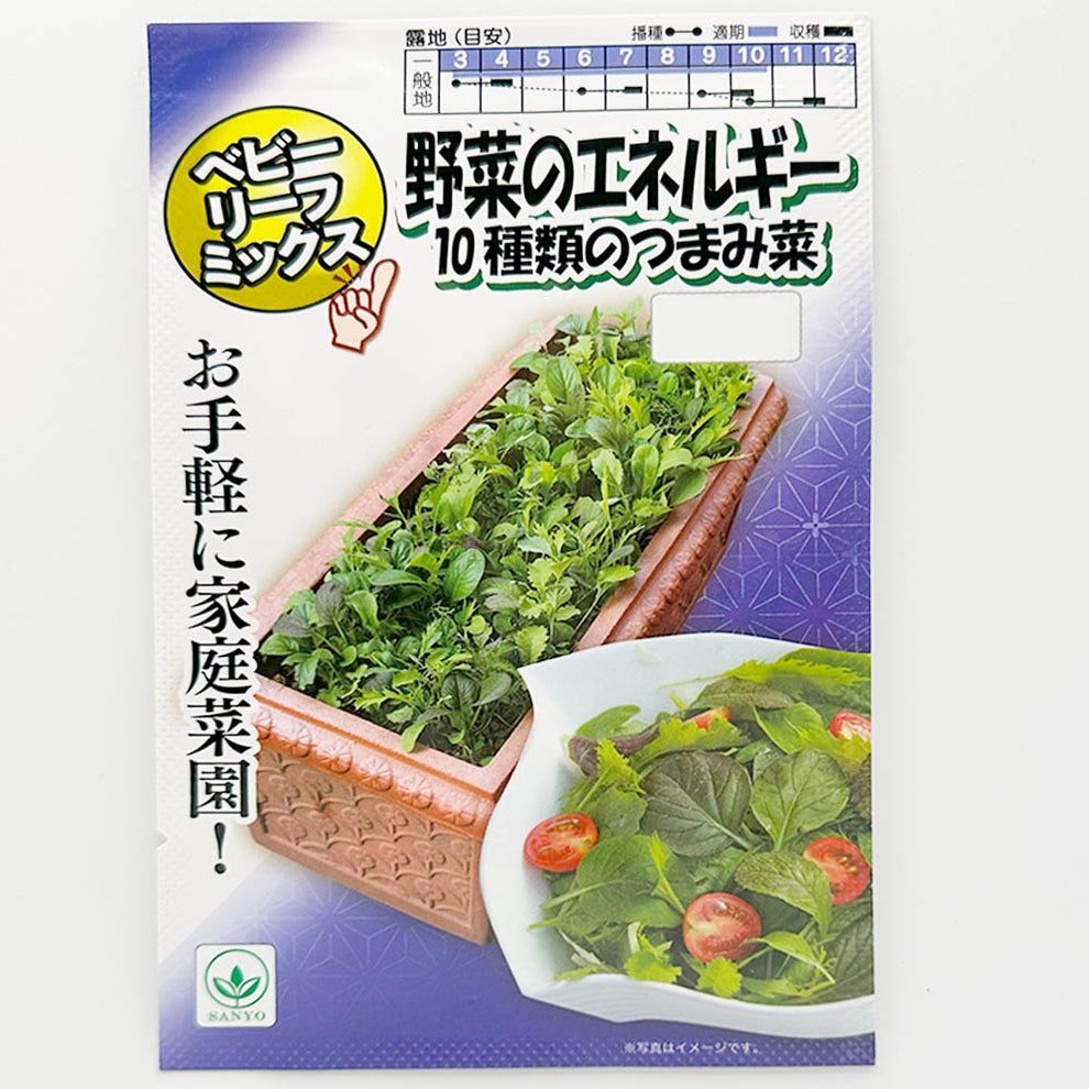 100 ％品質保証 野菜 観葉植物 1000円ポッキリ】 種 10種 4号土セット 植え替え 葉菜