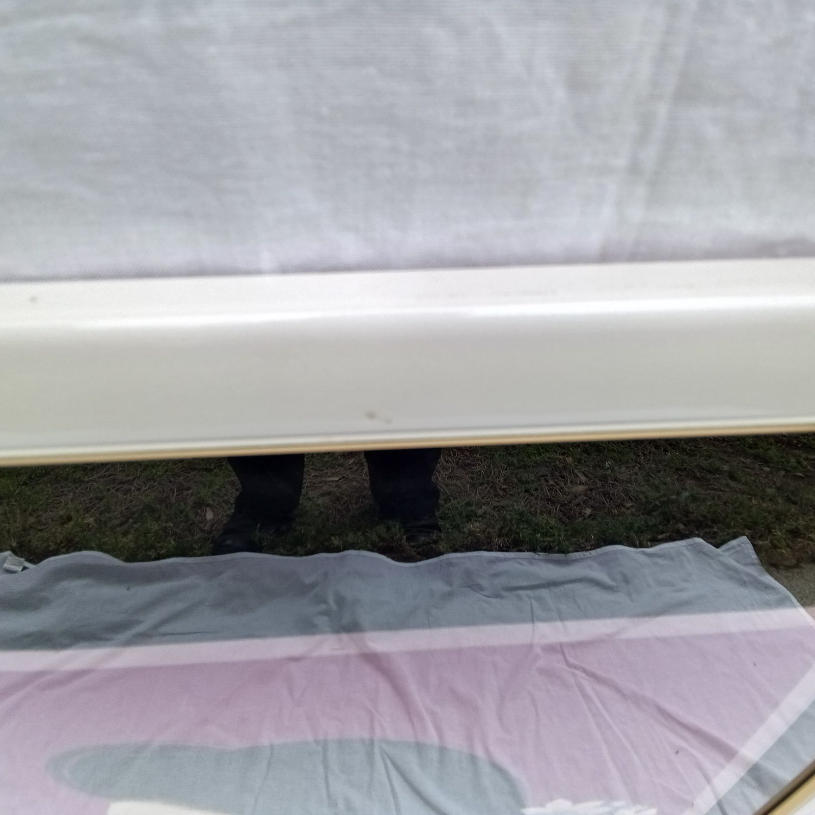 今井信吾 油絵 人物 少女・猫 日動画廊 油彩 8F