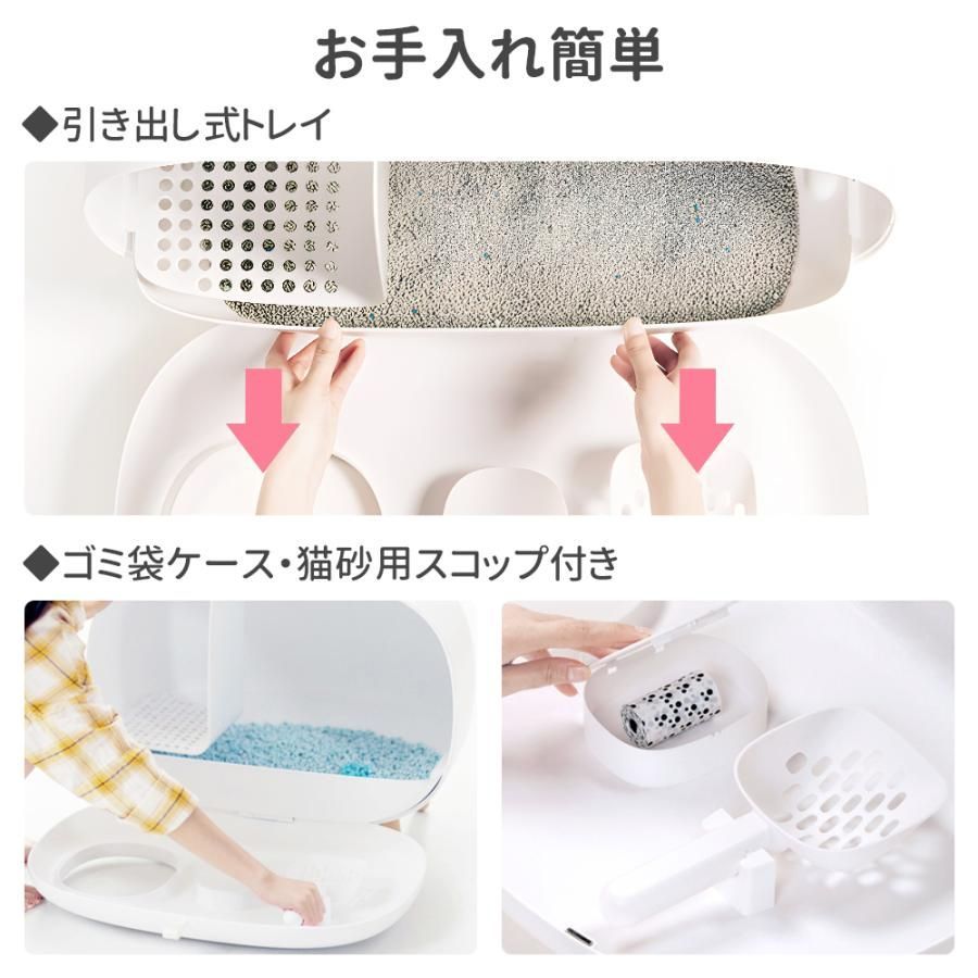 大型 猫