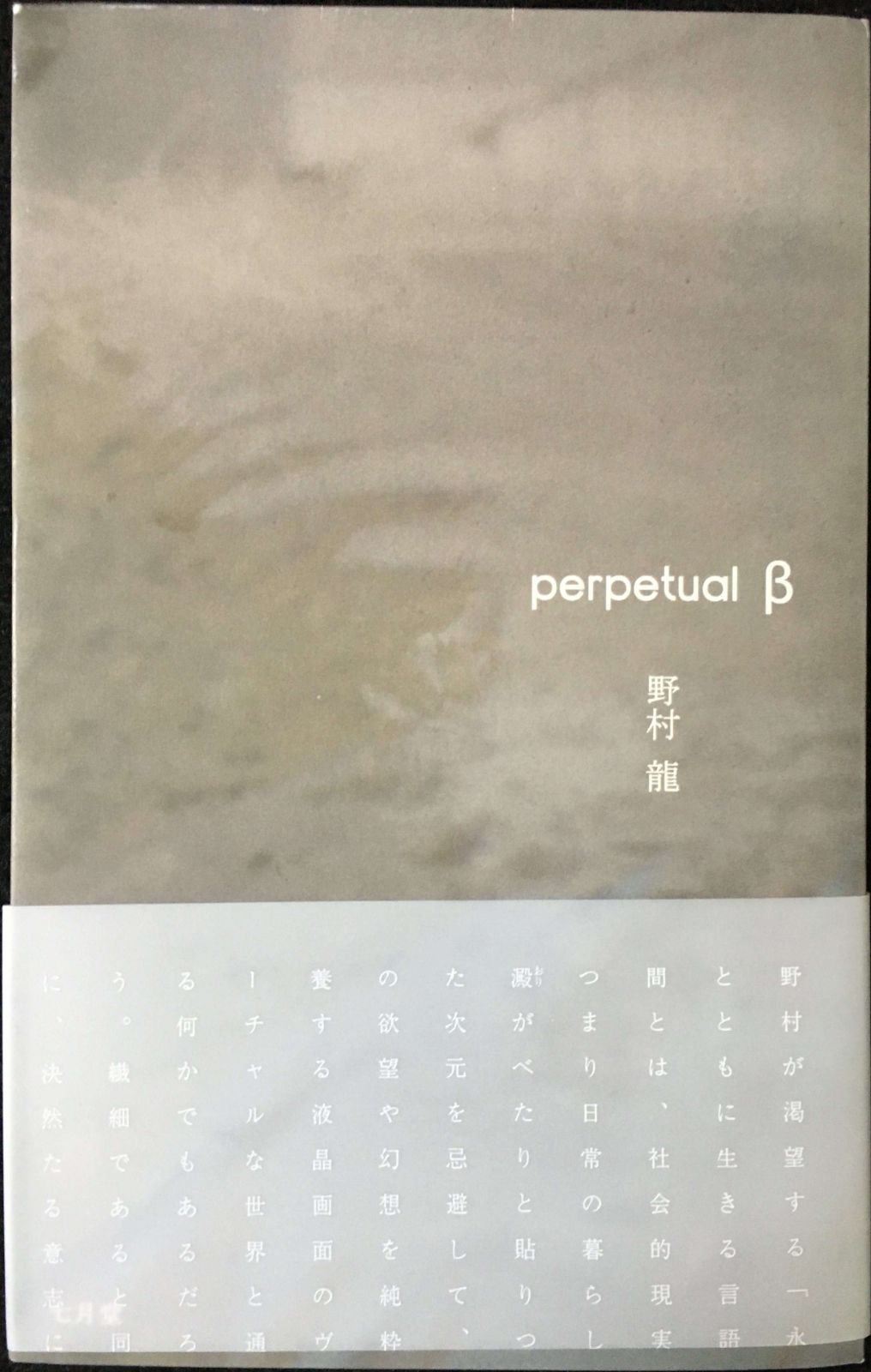 perpetual β: 野村龍詩集 単行本 perpetual β: 野村龍詩集 単行本 -10年以上のロングセラーを誇る