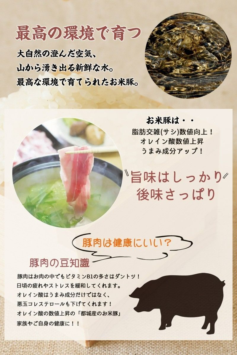 【大人気】宮崎県産 お米豚 ボリューム満点セット 計3kg 小分け 冷凍発送-3