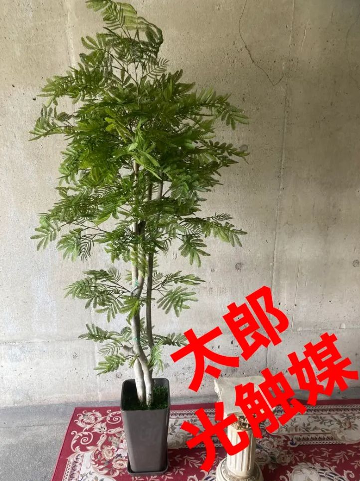 光触媒 人工観葉植物 ウォールグリーン フェイクグリーン