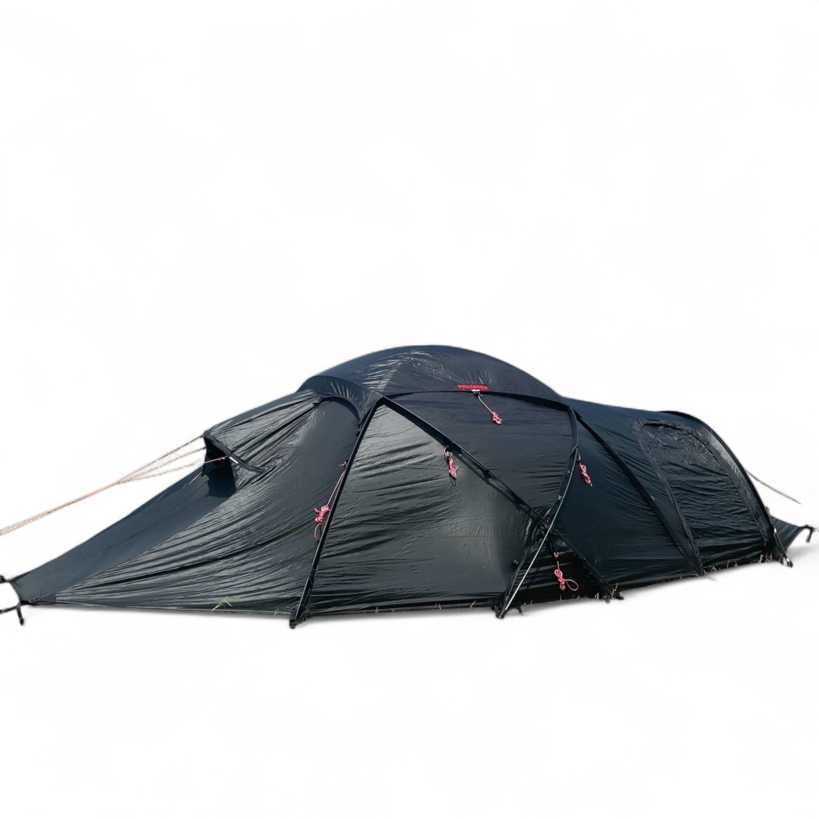 サイタリス Hilleberg SAITARIS ヒルバーグ 濃いグリーン 純正