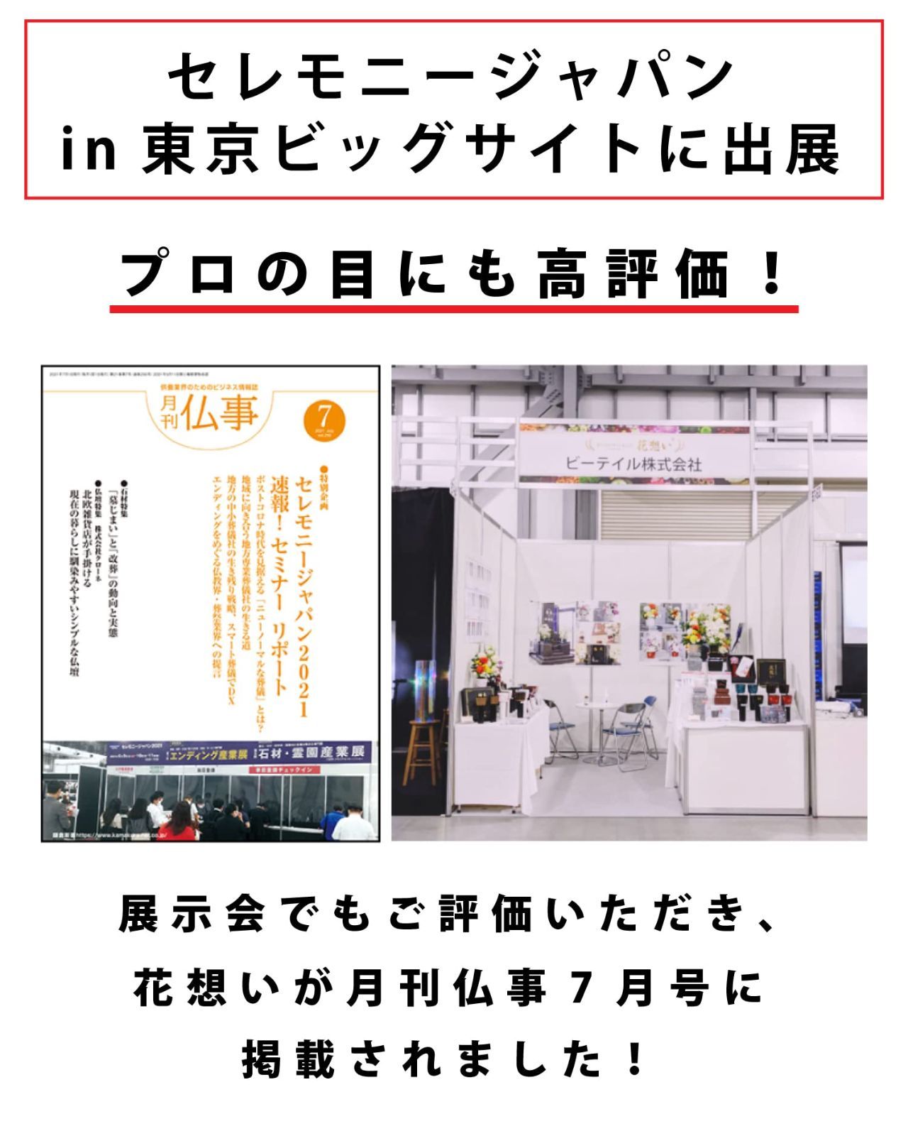 さくら並木