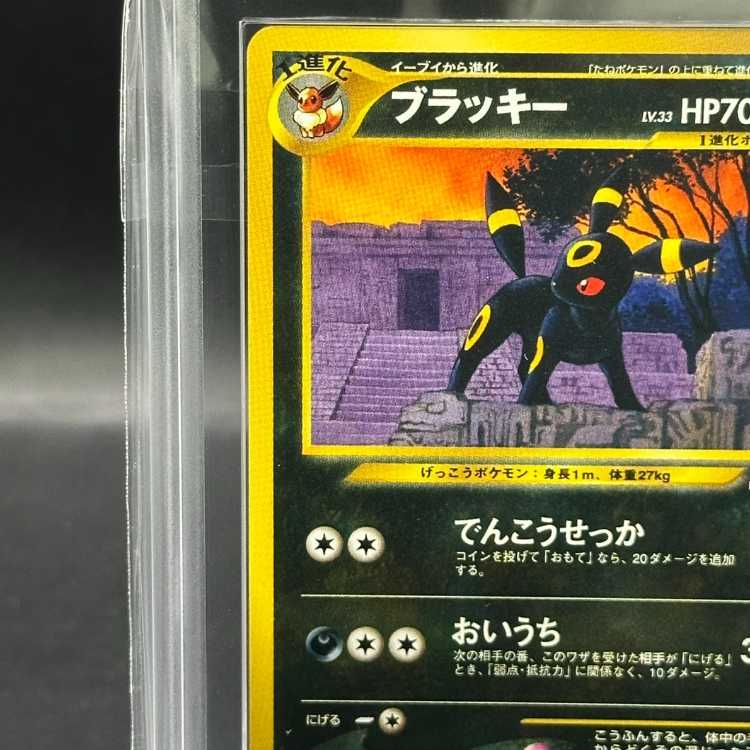 【ARS10】ブラッキー、エーフィ、イーブイ　プレミアムファイル2 ARS10】 ブラッキー (プロモ) [プレミアムファイル2] [旧裏