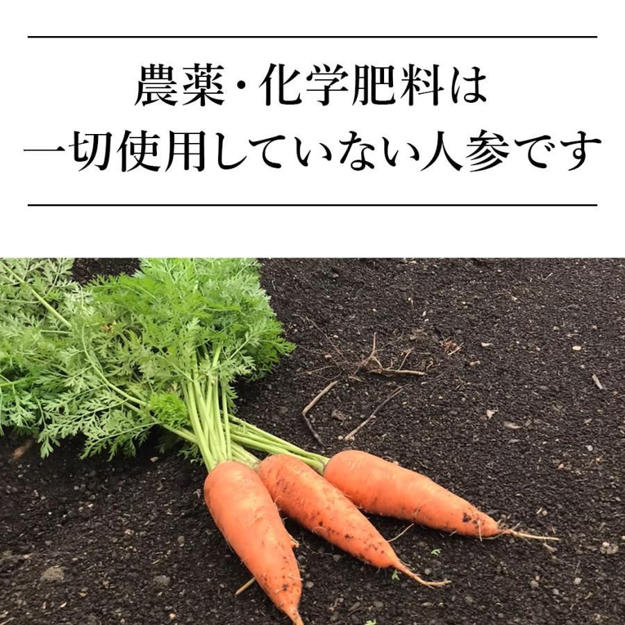 にんじんジュース 無農薬人参