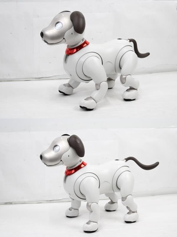 ソニー アイボ ERS-1000 アイボーン 限定首輪 AIBO 犬型 ロボット