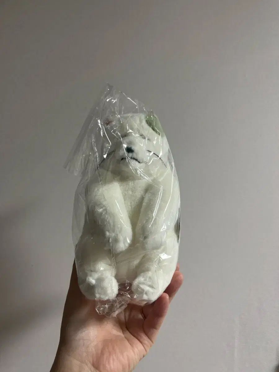 あみぐるみ✽ニワトリのにわちゃん✽ちょこんとあんよ✽中サイズ