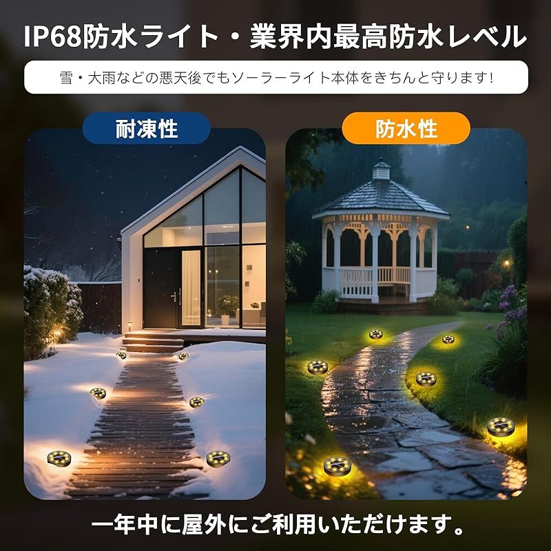 自生山採り/アオダモ/大株【現品発送】管理70395 自生山採り/アオダモ/大株【現品発送】管理70395