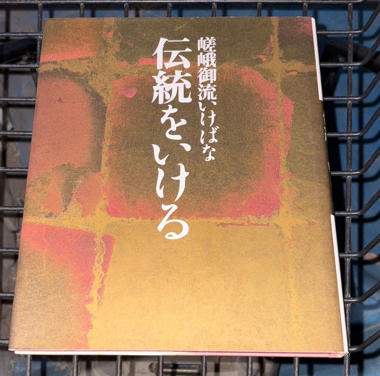嵯峨御流いけばな 伝統をいける 嵯峨御所華道総司所 C044-H29