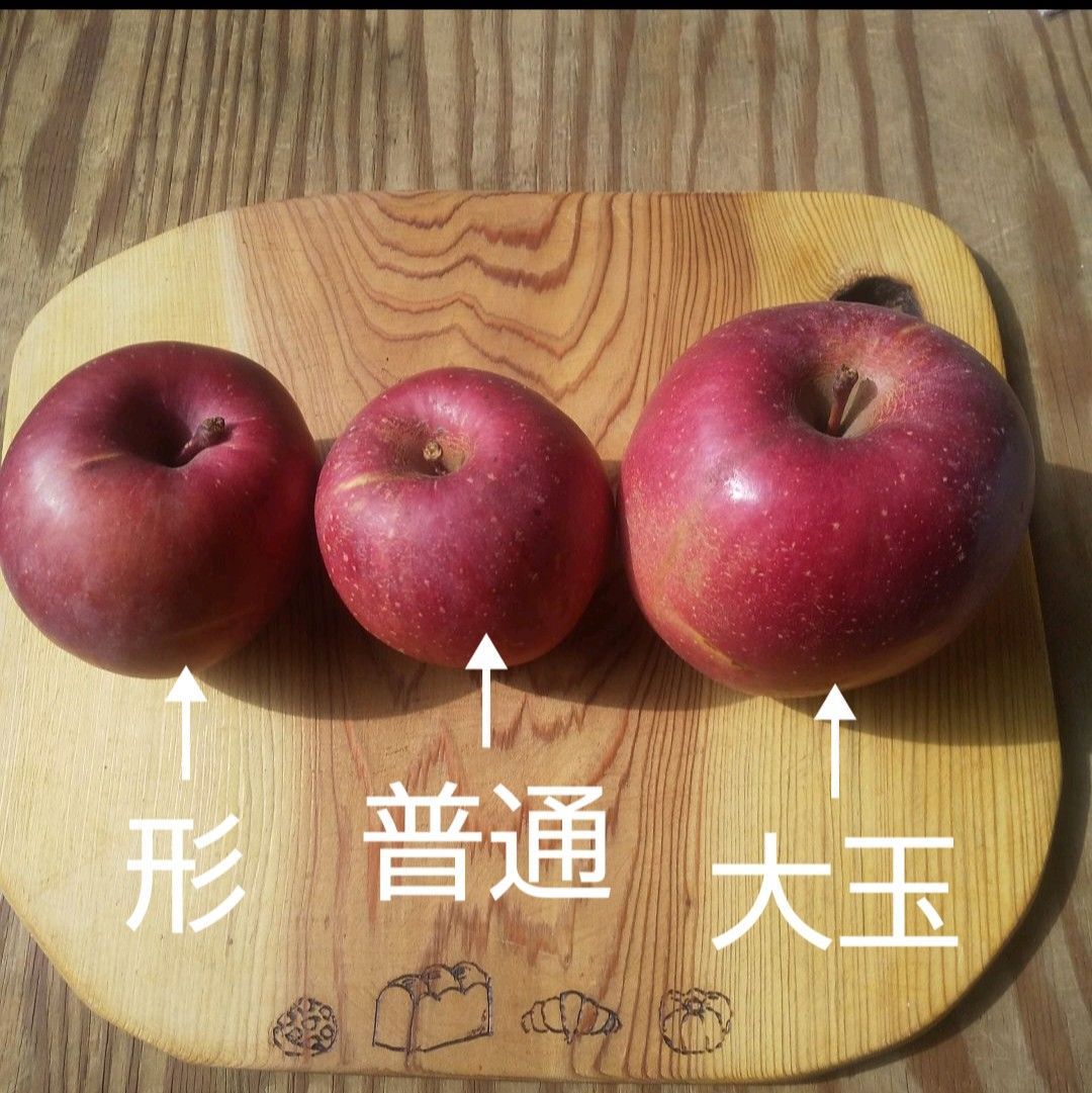 りんご好きな方へ！】信州産 家庭用りんご サンふじ 4kg りんご