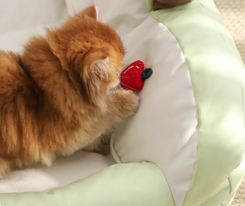 犬用 猫用