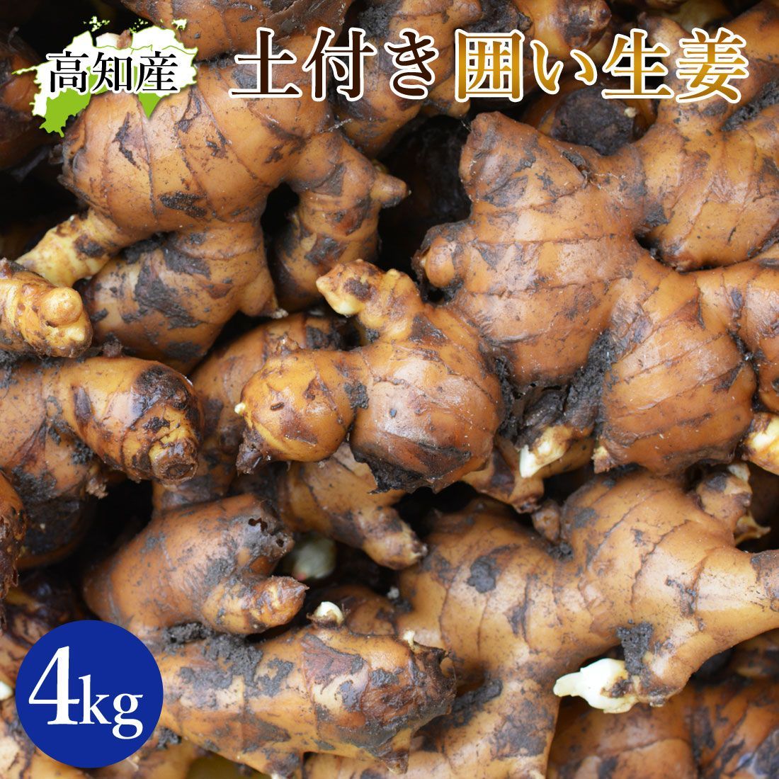 山北産直 土付き 生姜 4kg 高知県産 国産 しょうが 農家直送