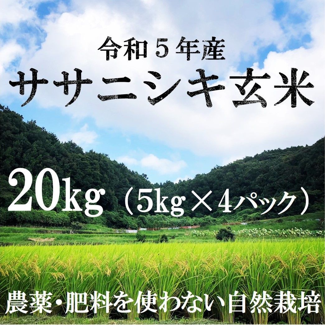ササニシキ玄米20kg（自然栽培米）令和5年新米 - LiveliFood ーライブ