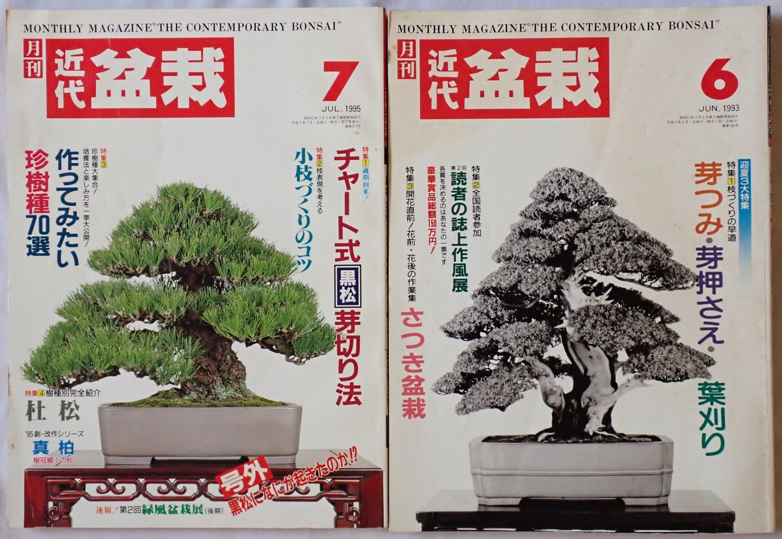 近代盆栽 2015年1月号〜12月号 12冊セット 近代出版 3〜12月号新品 月刊「近代盆栽」2021年12月号 | 盆栽、盆栽書籍、盆栽鉢の通販