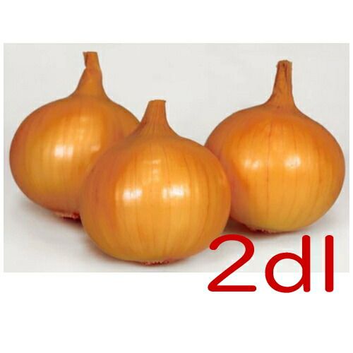 入荷次第出荷 カネコ種苗 スワロー 玉葱 ２ｄｌ