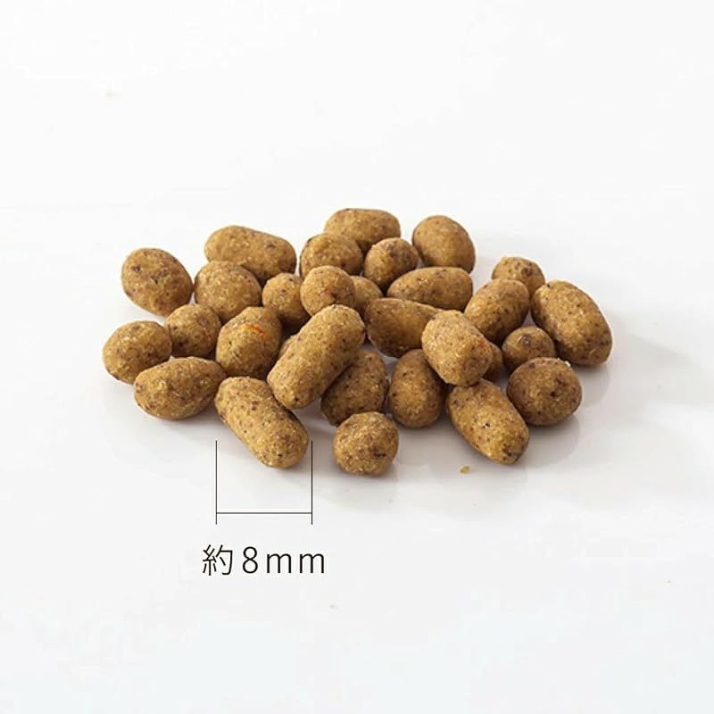 ドットわん 魚ごはん 500g×2セット 【公式通販】