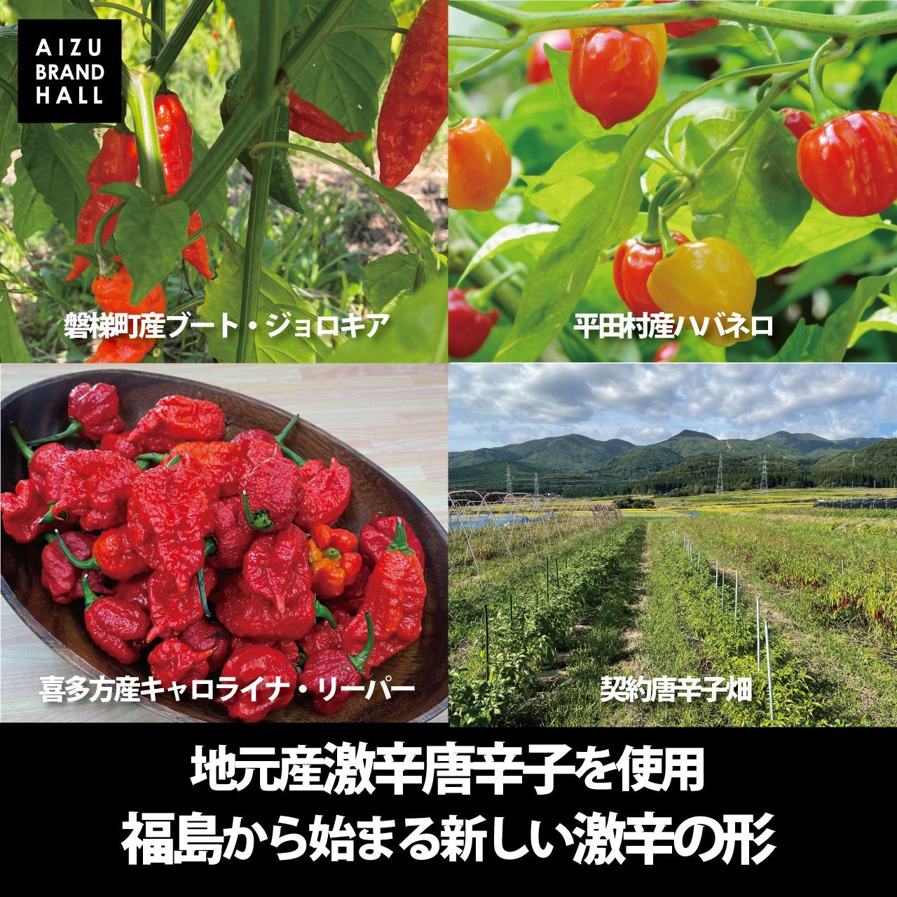 のサムネイル