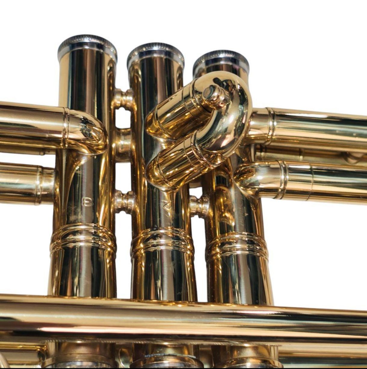 SELECTION セレクション