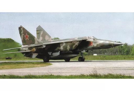 【】プラモデル 1/48 ミグ MIG-25 RBF [48904]