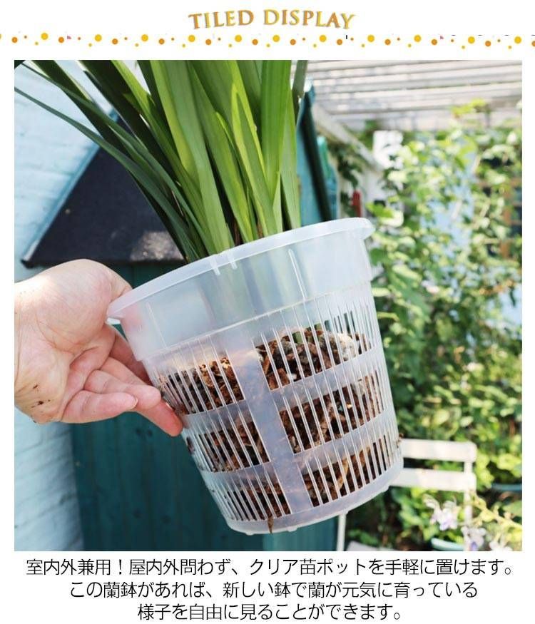 10鉢セット 胡蝶蘭 植木鉢 育苗ポット 透明 穴付き 屋内 屋外