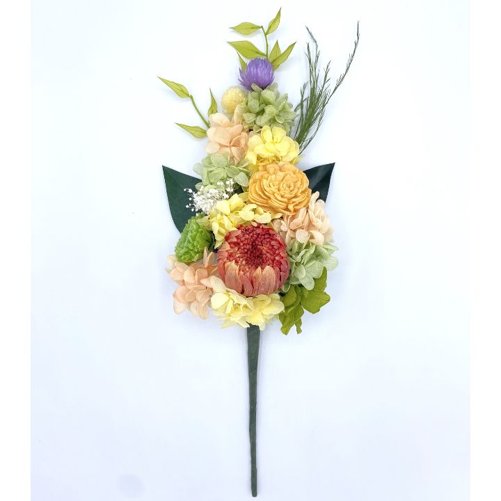 貴腐ワイン シャトー サンミッシェル 2010 Sauternes