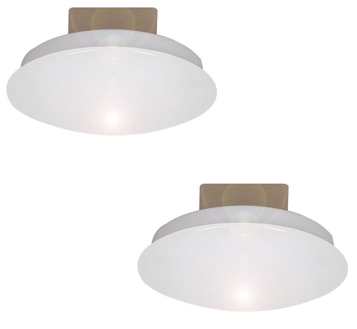 【数量限定】スワン電器 薄型LEDミニシーリングライト 昼光色相当 2個セット 日本製 YCE-552