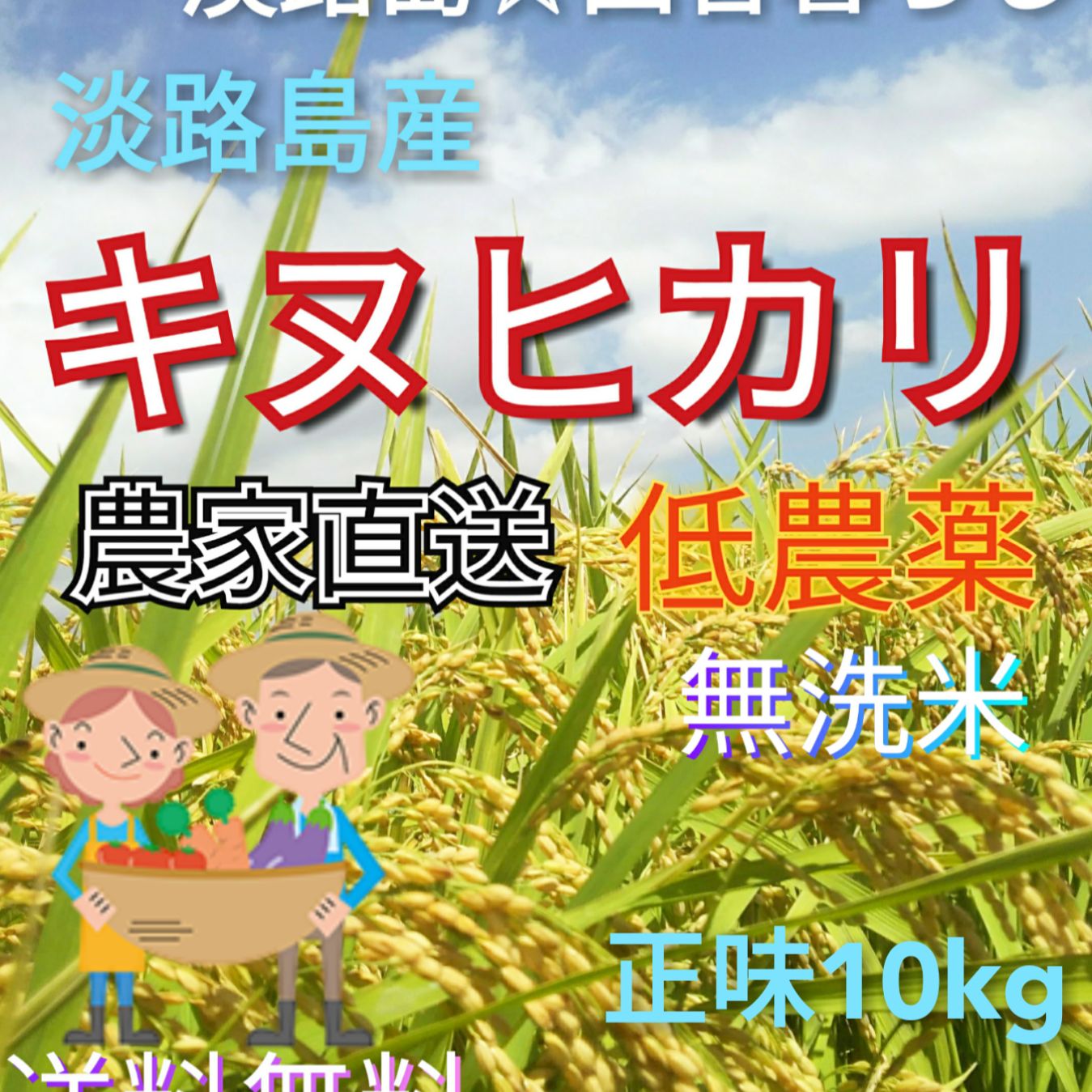 淡路島田舎暮らしレンゲ米 令和5年新米 キヌヒカリ 10kg×2袋 無洗米