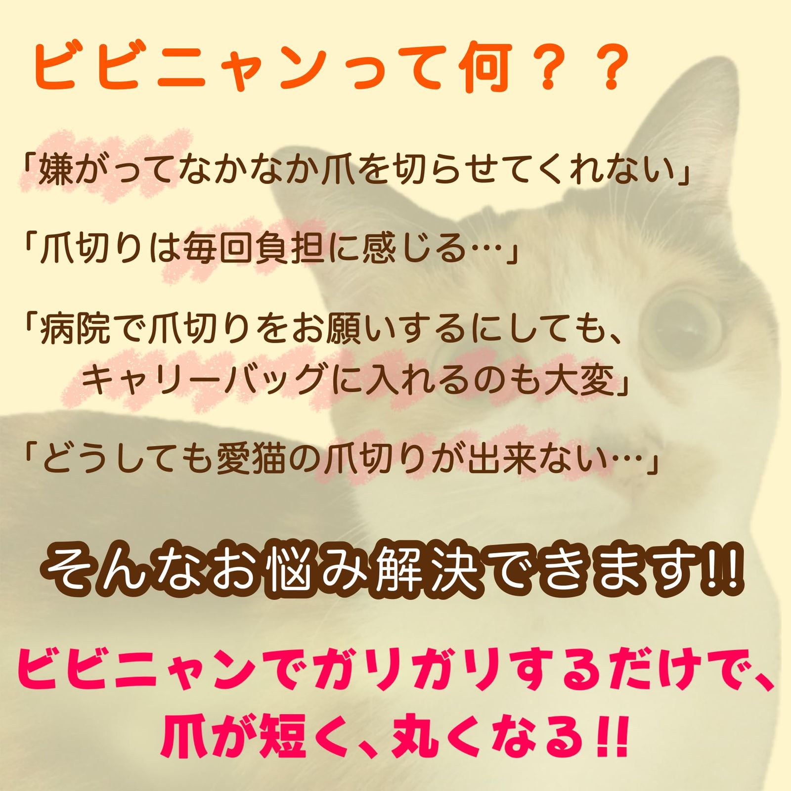 商品 ヤスリ 両面使用可 ストレス解消 ダンボール 負担軽減 猫 ねこ つめとぎ 爪切り不要の爪とぎボード 爪研ぎ Nyan ネコ ビビニャン bibi 4枚入