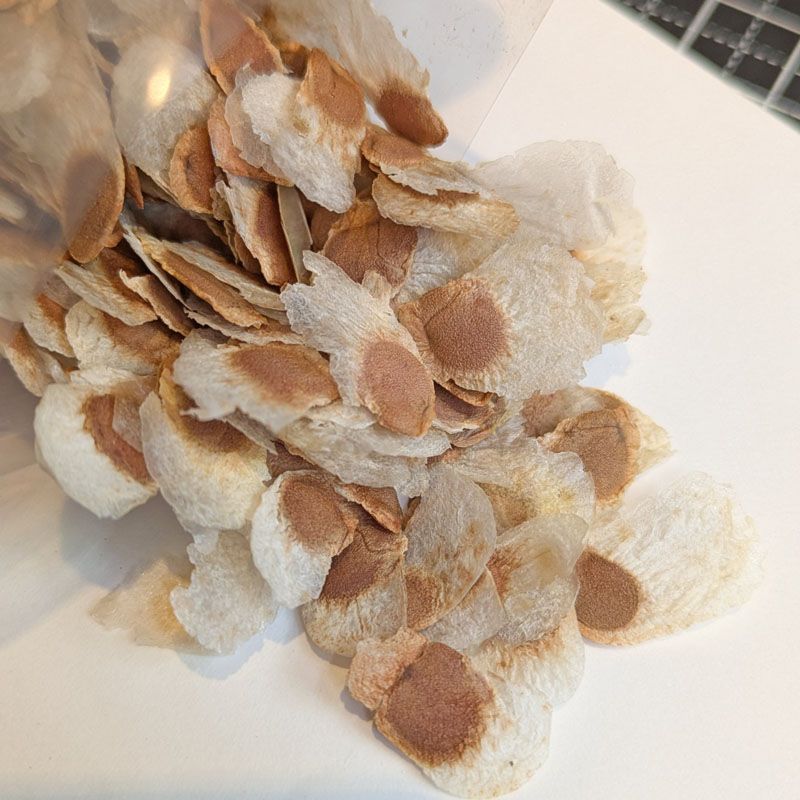 美品 HERMES ヴィンテージ ターンロック カエル 花柄 ショルダーバッグ