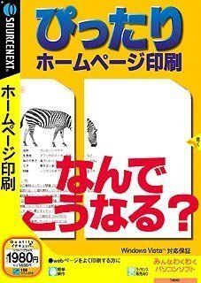 ぴったりホームページ印刷 (説明扉付きスリムパッケージ版)