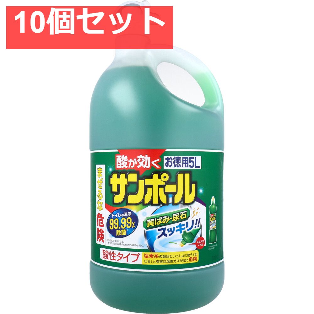10個セット 金鳥 サンポールV 5L