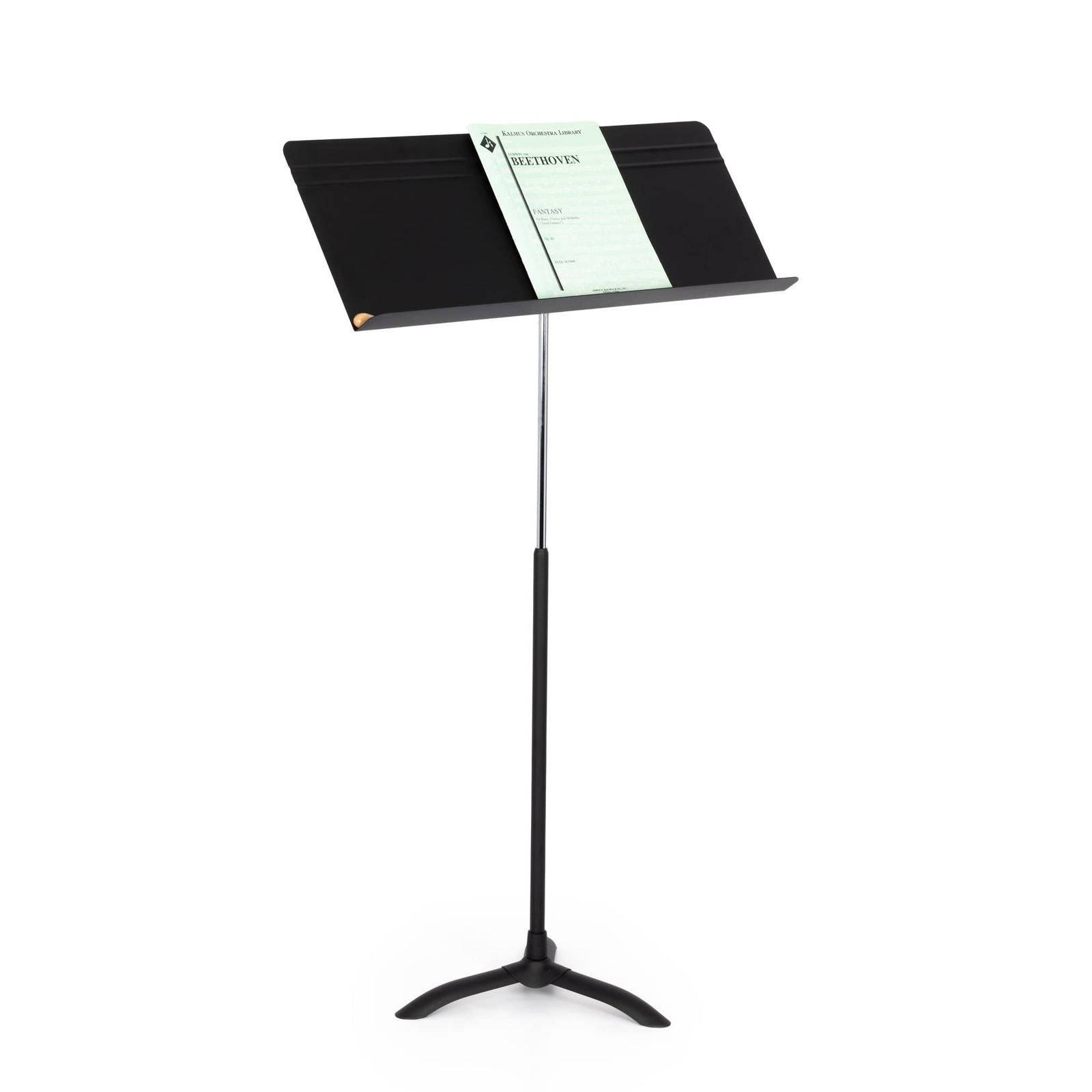 マンハセット Stand