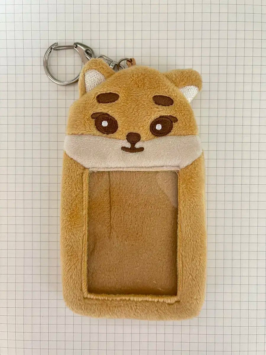 AKB48 ジャケ写キーホルダー 17個セット CD関連グッズ | AKB48