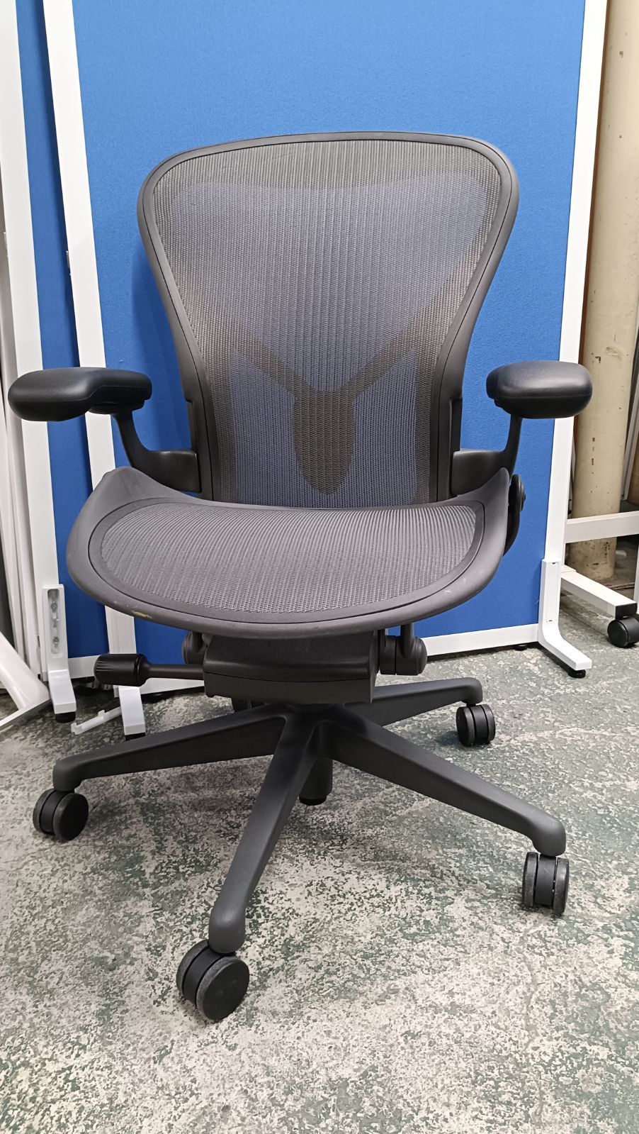 Special Edition】dapple born ゴールゼロ用シェード② dapple born