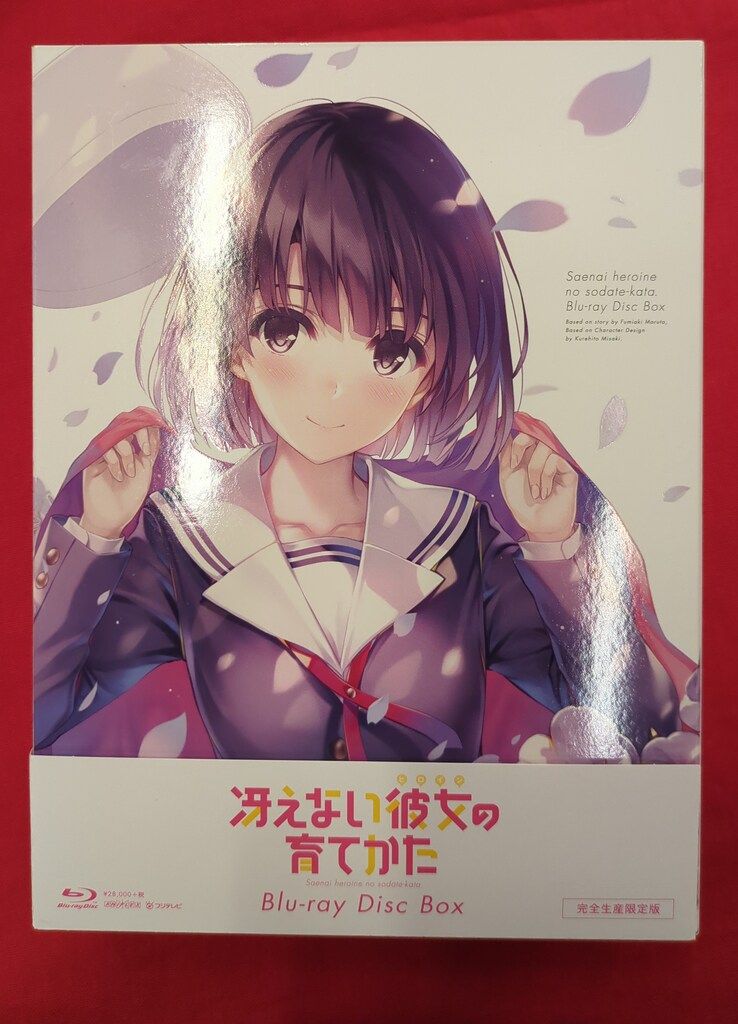 AIR(エアー) 霧島佳乃 完成品フィギュア AIR(エアー) 霧島佳乃 完成品