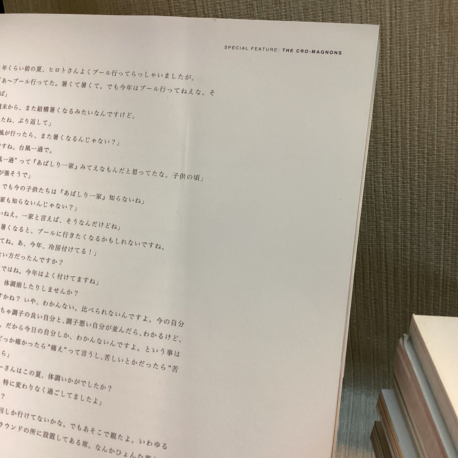 甲本ヒロト ブルーハーツ クロマニヨンズ 特集雑誌22冊セット