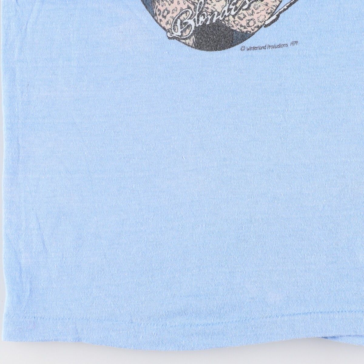 古着 70年代 ヘインズ Hanes ROD STEWART ロッドスチュワート バンドT  