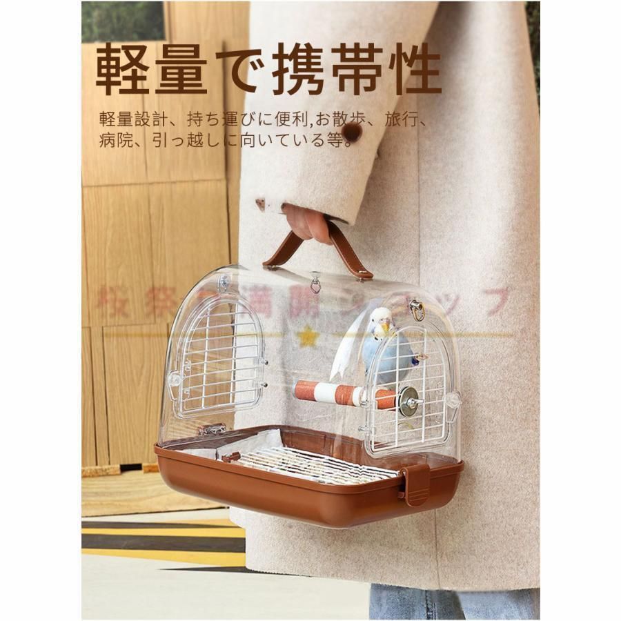 鳥の巣