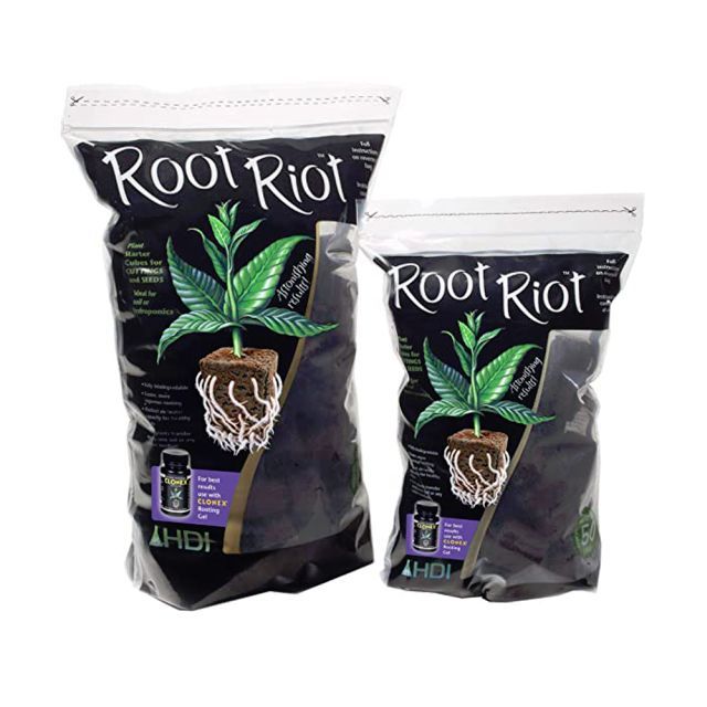 Root Riot スタータープラグ ルートライオットスタータープラグ 50個入り クローン用培地 スターターキューブ