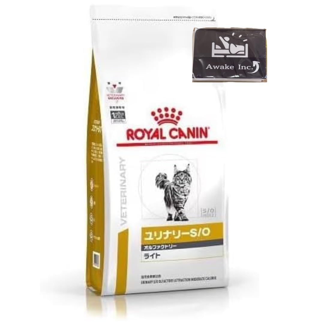 ヴァイス 二人の時間 千鶴 PR+ PR 2枚セット ヴァイス かのかり 二人の