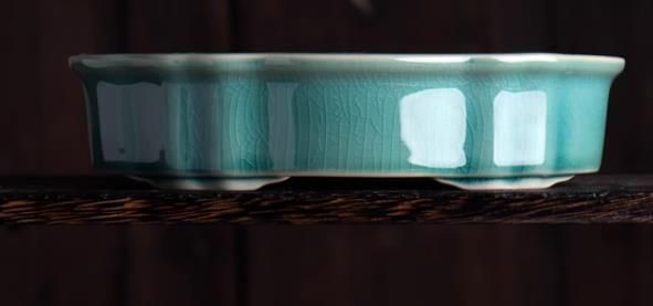 長菱花蓮の鉢 盆栽鉢 植木鉢 小品盆栽鉢 大品盆栽鉢 長菱花蓮盆 多肉